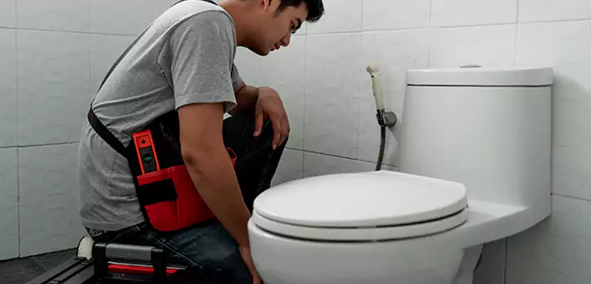 Toilet Repair in Delaware