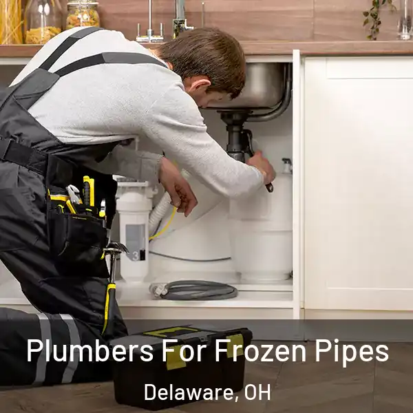  Plumbers For Frozen Pipes Delaware, OH