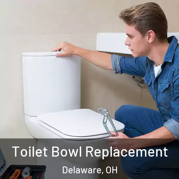  Toilet Bowl Replacement Delaware, OH
