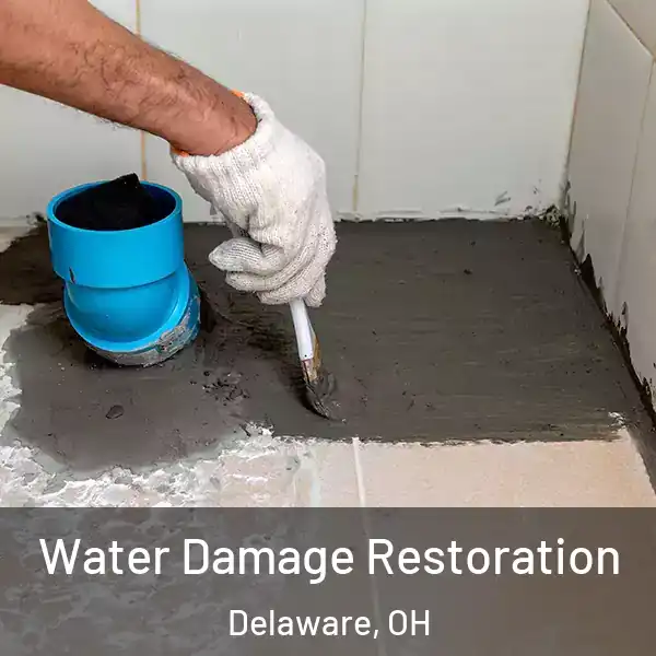  Water Damage Restoration Delaware, OH