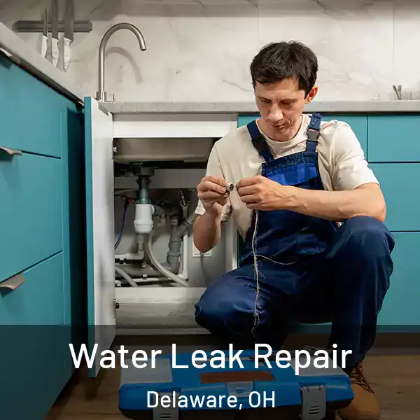  Water Leak Repair Delaware, OH